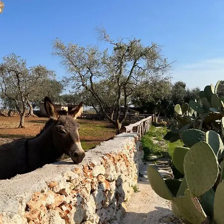 Trulli Dell'angelo Dom wakacyjny *