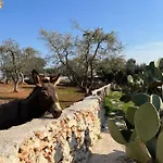 Trulli Dell'angelo Ferienhaus *