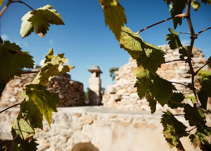 Trulli Dell'angelo ספקיולה